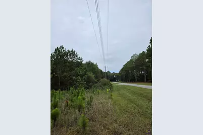 0 Benny Sharp Road, Hawkinsville, GA 31036 - Photo 2