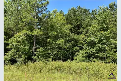 0 High Crest Lane, Hawkinsville, GA 31036 - Photo 1