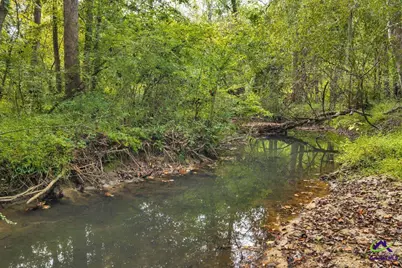 0 Perry Hwy, Hawkinsville, GA 31036 - Photo 6