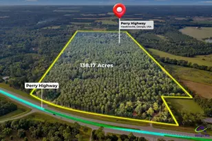 0 Perry Hwy, Hawkinsville, GA 31036 - Photo 1