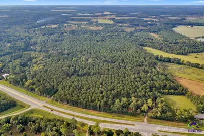 0 Perry Hwy, Hawkinsville, GA 31036 - Photo 4