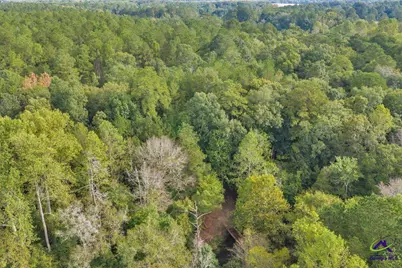 0 Perry Hwy, Hawkinsville, GA 31036 - Photo 10