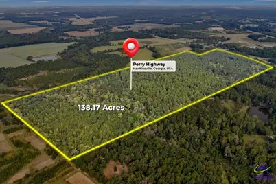 0 Perry Hwy, Hawkinsville, GA 31036 - Photo 2
