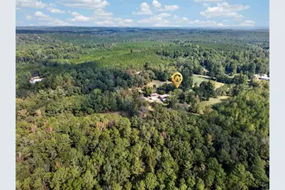 6204 Davis Road, Dry Branch, GA 31217 - Photo 58