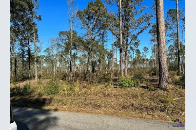 Tract-1 Lower Simmons Road, Macon, GA 31220 - Photo 1