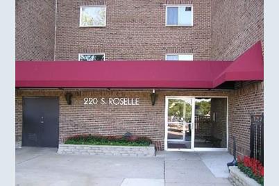 220 South Roselle Road #413 - Photo 1
