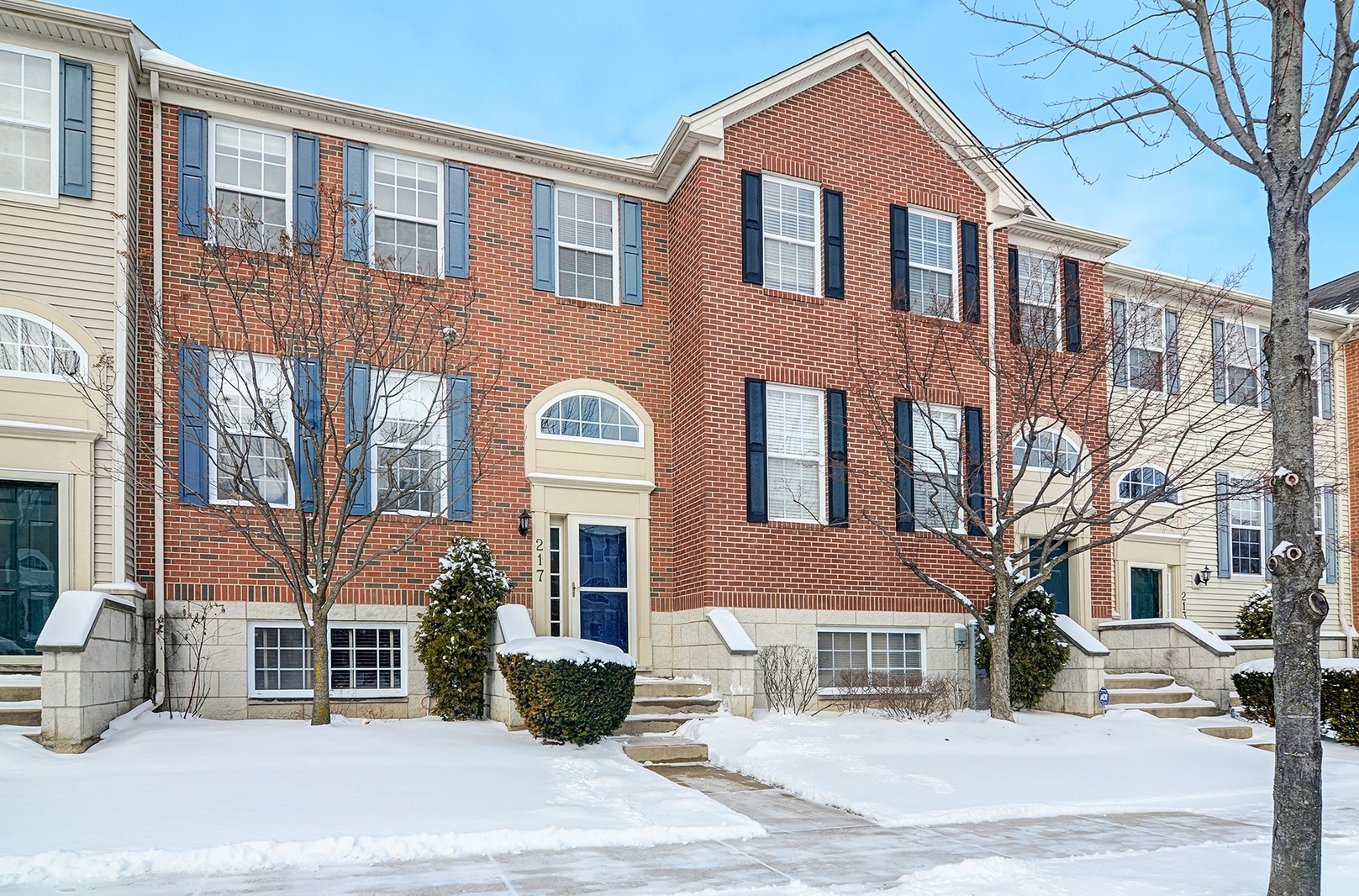 217 Willow Blvd 1203A, Willow Springs, IL 60480 MLS 09835288