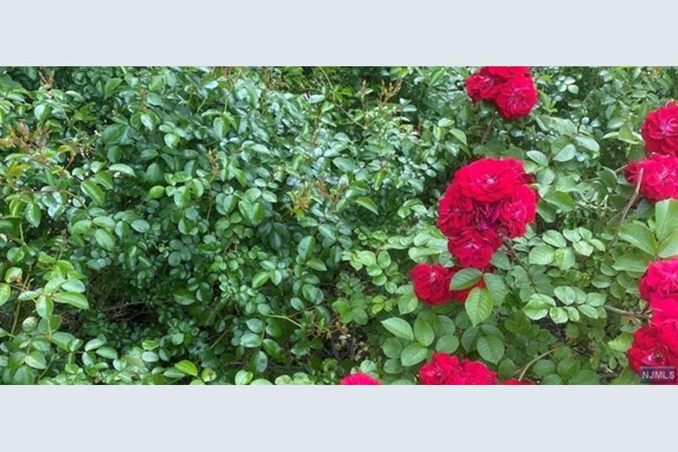 6 Quail Ridge Rd, Montvale, NJ 07645 MLS 23026008 Coldwell Banker