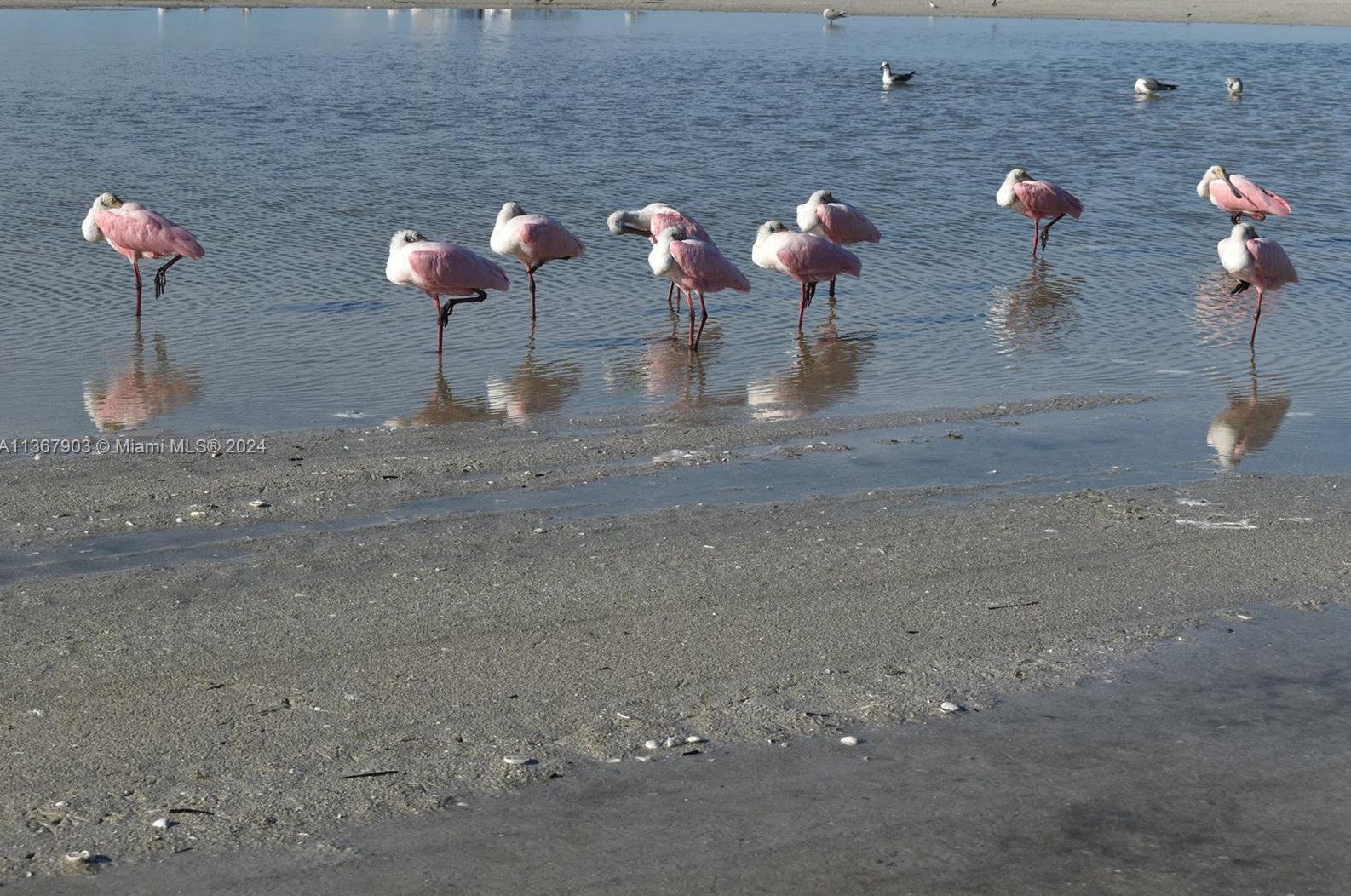 32 Fairview Blvd, Fort Myers Beach FL  33931-4565 exterior