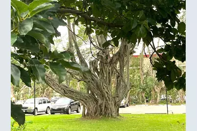 2901 NW 47th Ter #344B, Lauderdale Lakes, FL 33313 - Photo 40