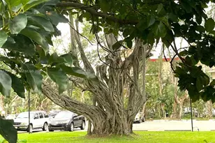 2901 NW 47th Terrace, Lauderdale Lakes, FL 33313 - Photo 40