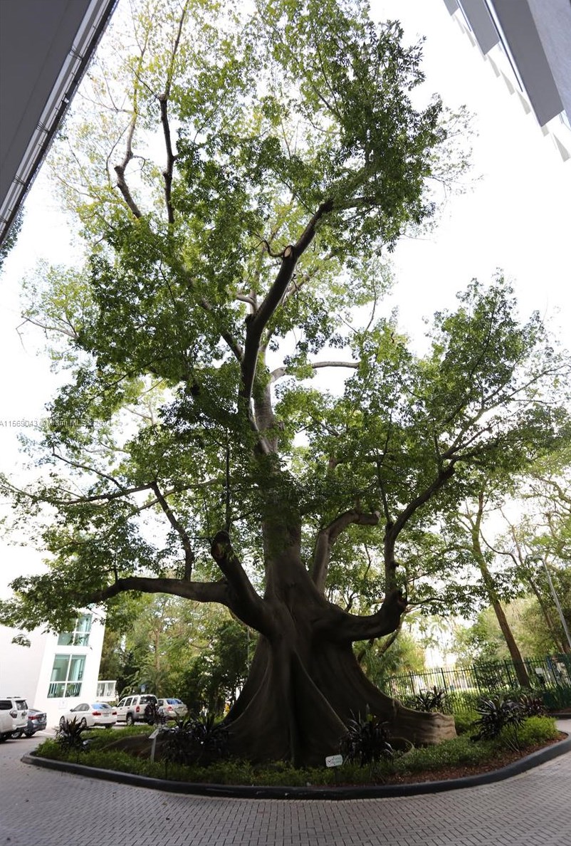 1861 River Dr, Miami FL exterior