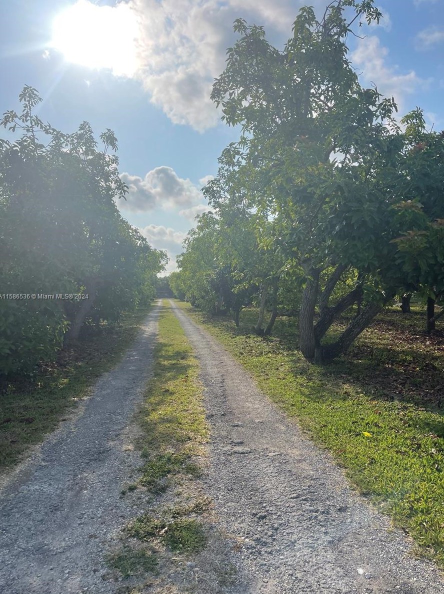 25400 209th Ave, Homestead, FL 33031-1529