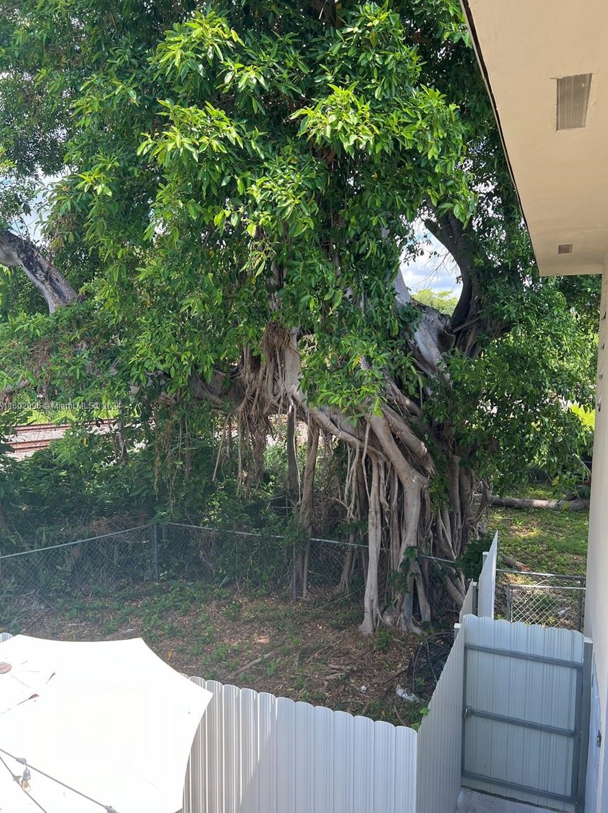 11322 Peachtree Dr, Miami FL  33161-6854 exterior