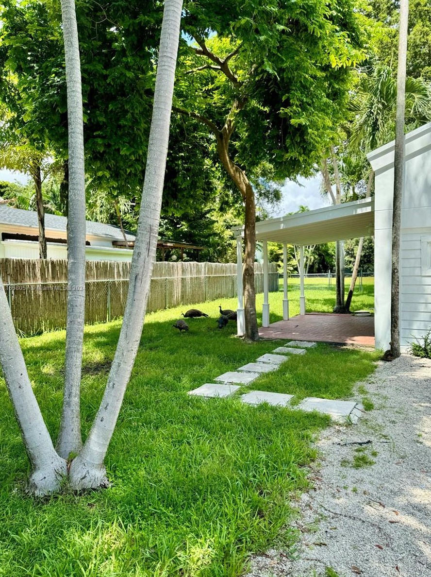 3515 Poinciana Ave, Miami, FL 33133-6526