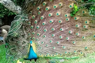 15713 Fisher Island Dr, Miami Beach, FL 33109 - Photo 50