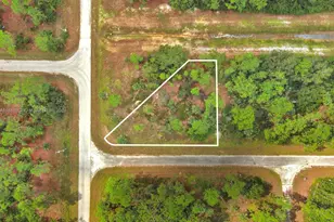 158 Nagel Ave S, Lehigh Acres, FL 33974 - Photo 2