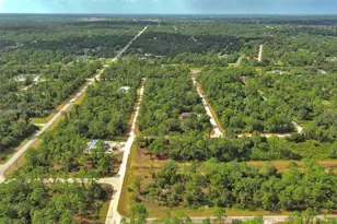 158 Nagel Ave S, Lehigh Acres, FL 33974 - Photo 16