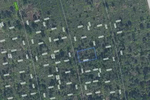 4434 Obispo Ave, Sebring, FL 33872 - Photo 1