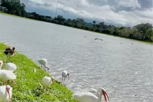 4400 Hillcrest Dr, Hollywood, FL 33021 - Photo 32