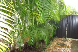 4802 Washington St, Hollywood, FL 33021 - Photo 6