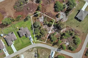 309 Raber Ave, Lehigh Acres, FL 33974 - Photo 2