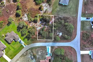 311 Raber Ave, Lehigh Acres, FL 33974 - Photo 2