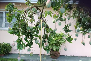 3740 W 5th Ct, Hialeah, FL 33012 - Photo 16