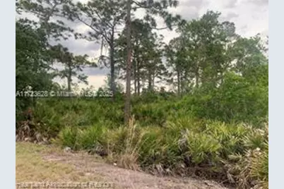 615 Wildflower Street, Lake Placid, FL 33852 - Photo 18