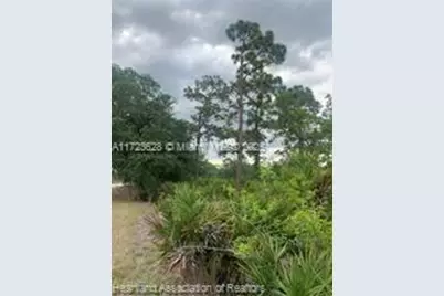 615 Wildflower Street, Lake Placid, FL 33852 - Photo 10