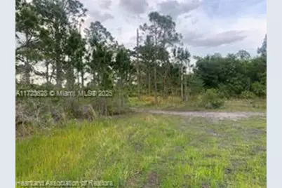 615 Wildflower Street, Lake Placid, FL 33852 - Photo 14