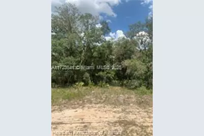 2922 N Warwick Road, Avon Park, FL 33825 - Photo 12