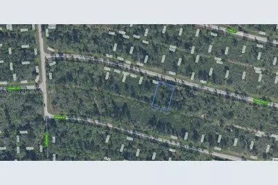 8637 Primavera Street, Sebring, FL 33872 - Photo 2