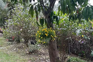 18338 NW 68th Ave, Hialeah, FL 33015 - Photo 36