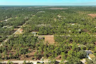 2309 Grant Ave, Lehigh Acres, FL 33920 - Photo 12