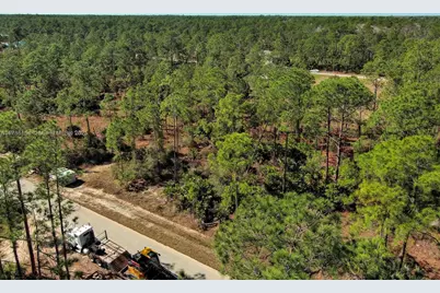 2309 Grant Ave, Lehigh Acres, FL 33920 - Photo 2