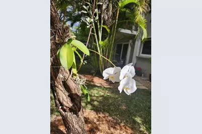 3004 NE 5th Ter #214-C, Wilton Manors, FL 33334 - Photo 78