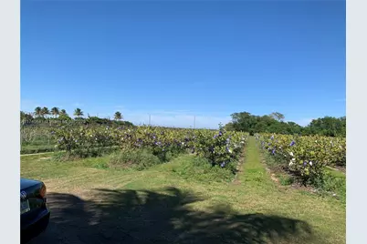 0 Tbd, Homestead, FL 33030 - Photo 8