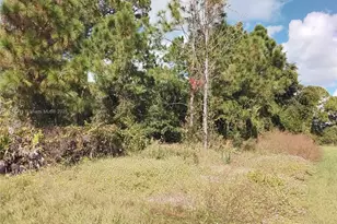 3504 W 74th St, Lehigh Acres, FL 33971 - Photo 1