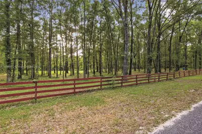 19474 NW 215th Terrace, Gainesville, FL 32643 - Photo 14
