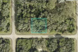 2803 E 19th St, Lehigh Acres, FL 33972 - Photo 1