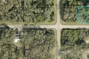 2803 E 19th St, Lehigh Acres, FL 33972 - Photo 4