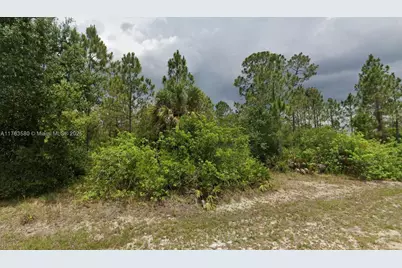 1408 Plumosa Ave, Lehigh Acres, FL 33972 - Photo 2