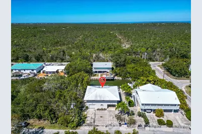 29051 Magnolia Ln, Big Pine, FL 33043 - Photo 2