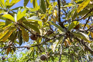 25600 SW 197th Ave, Homestead, FL 33031 - Photo 36