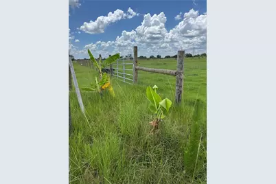 292 Lott Grade, Other City - In The State Of Florida, FL 33960 - Photo 12