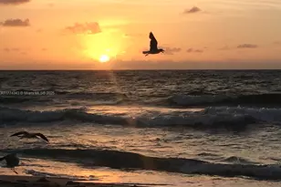 1 N Ocean Blvd, Pompano Beach, FL 33062 - Photo 30