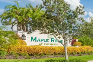 5277 Marano, Ave Maria, FL 34142 - Photo 18