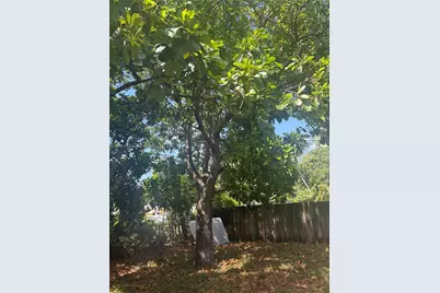 2530 Washington St, Hollywood, FL 33020 - Photo 26