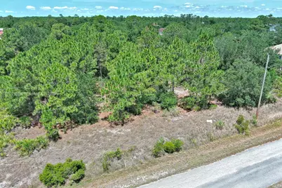 805 Lincoln Ave, Lehigh Acres, FL 33972 - Photo 4